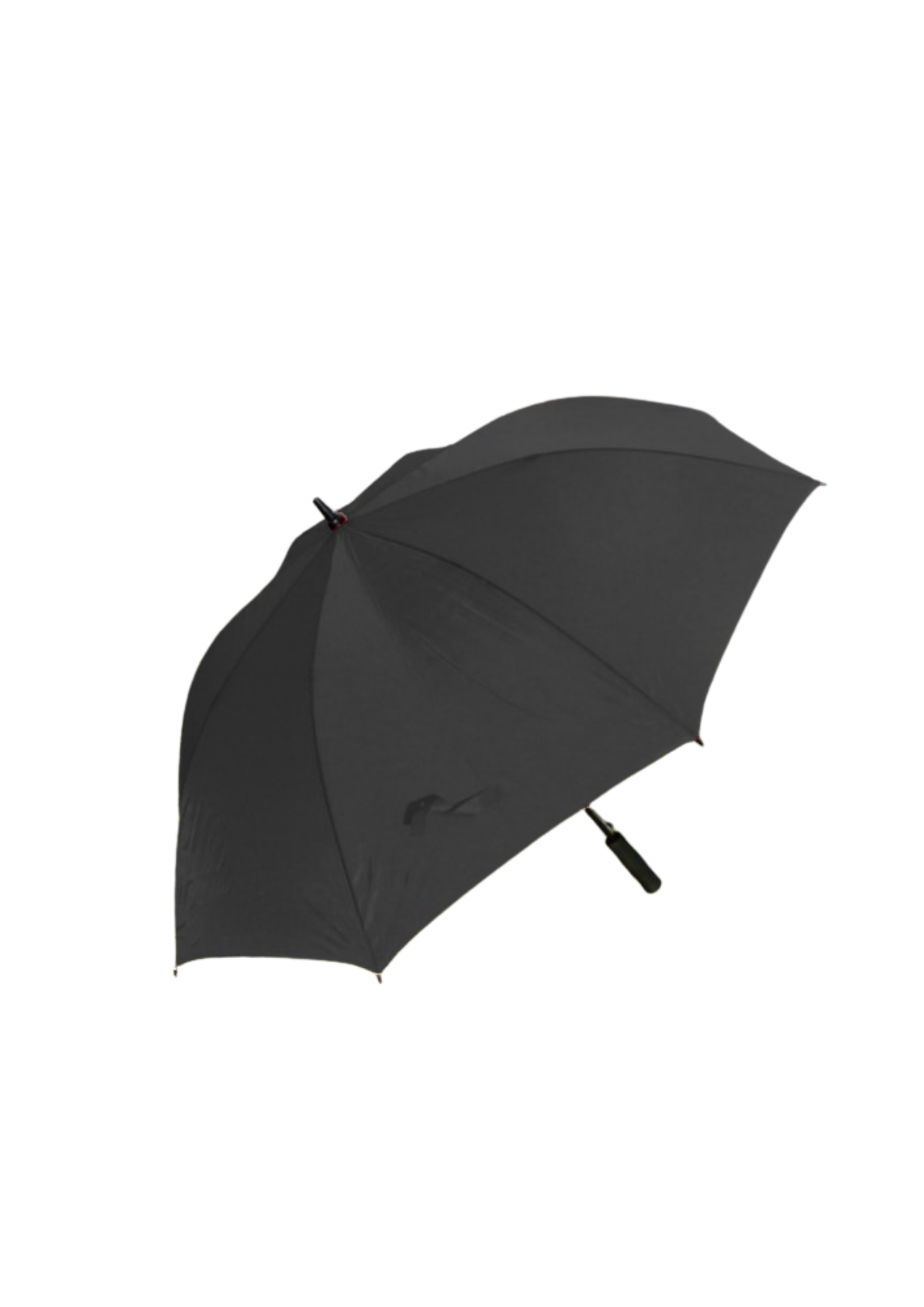 DGS Branded Umbrellas