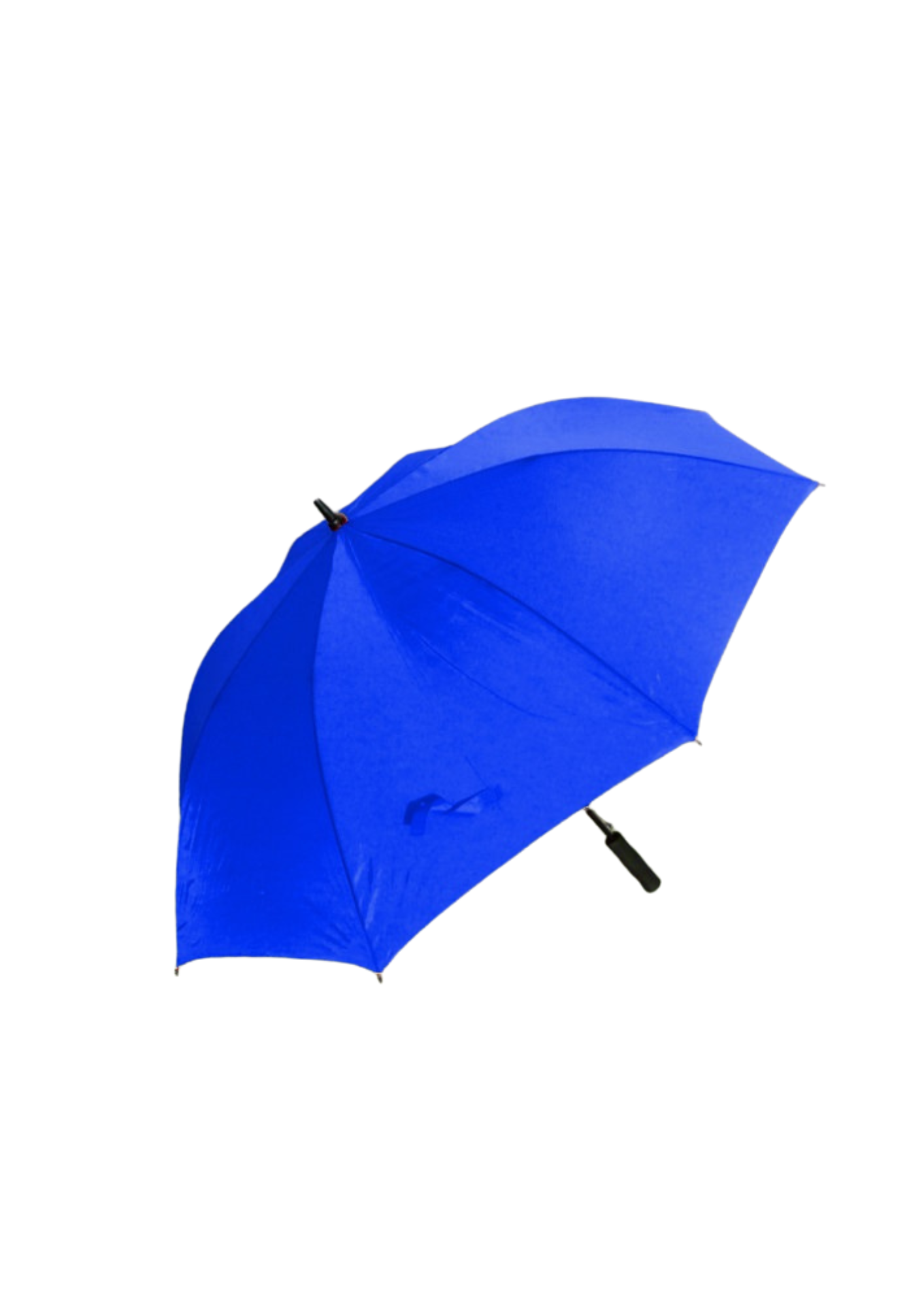 DGS Branded Umbrellas
