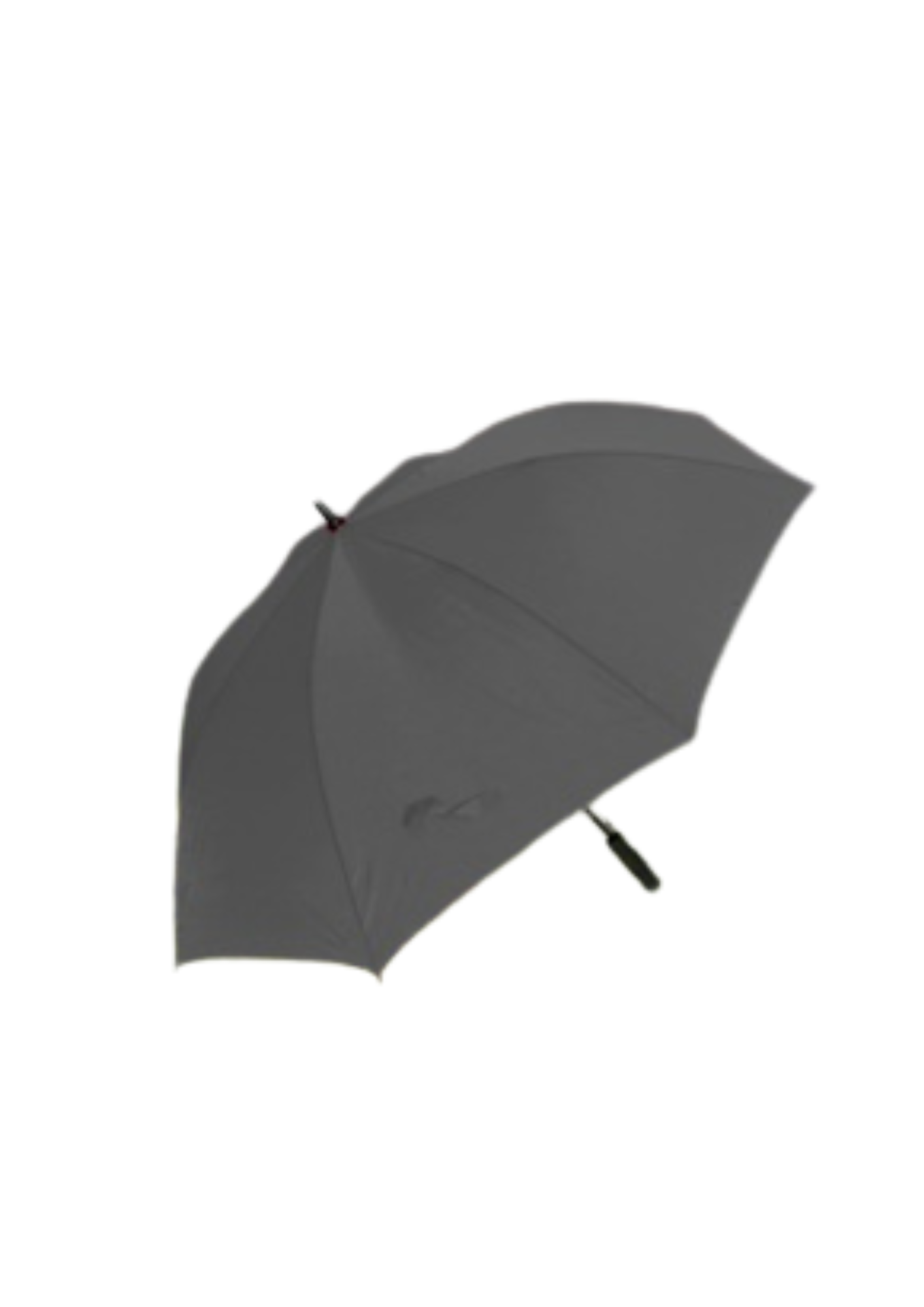 DGS Branded Umbrellas