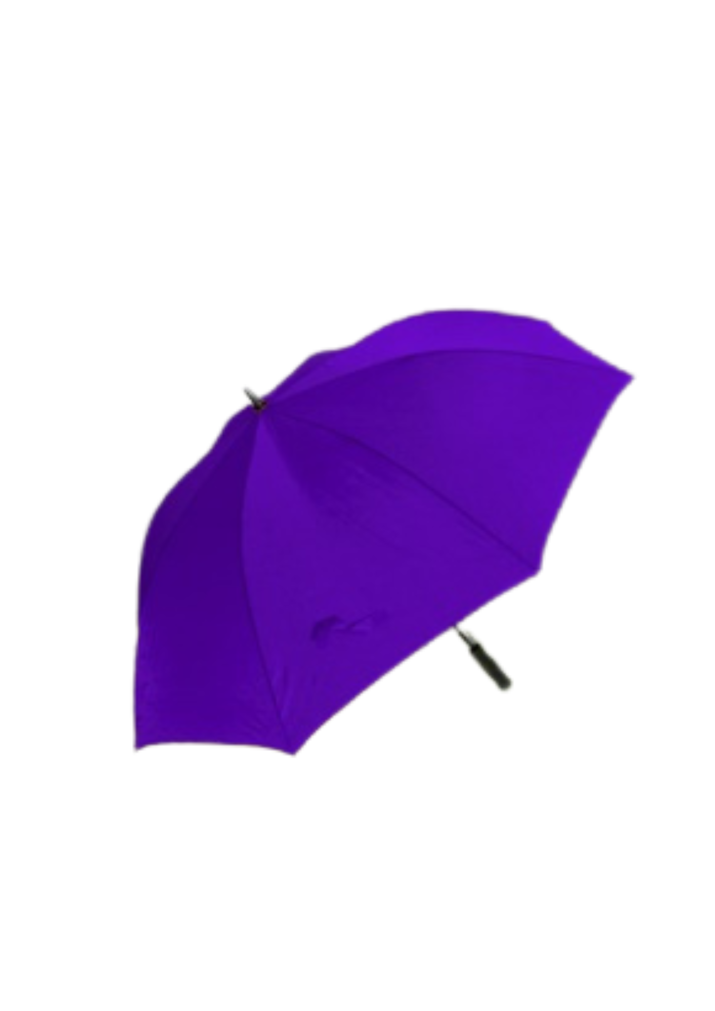 BLSC Branded Umbrellas