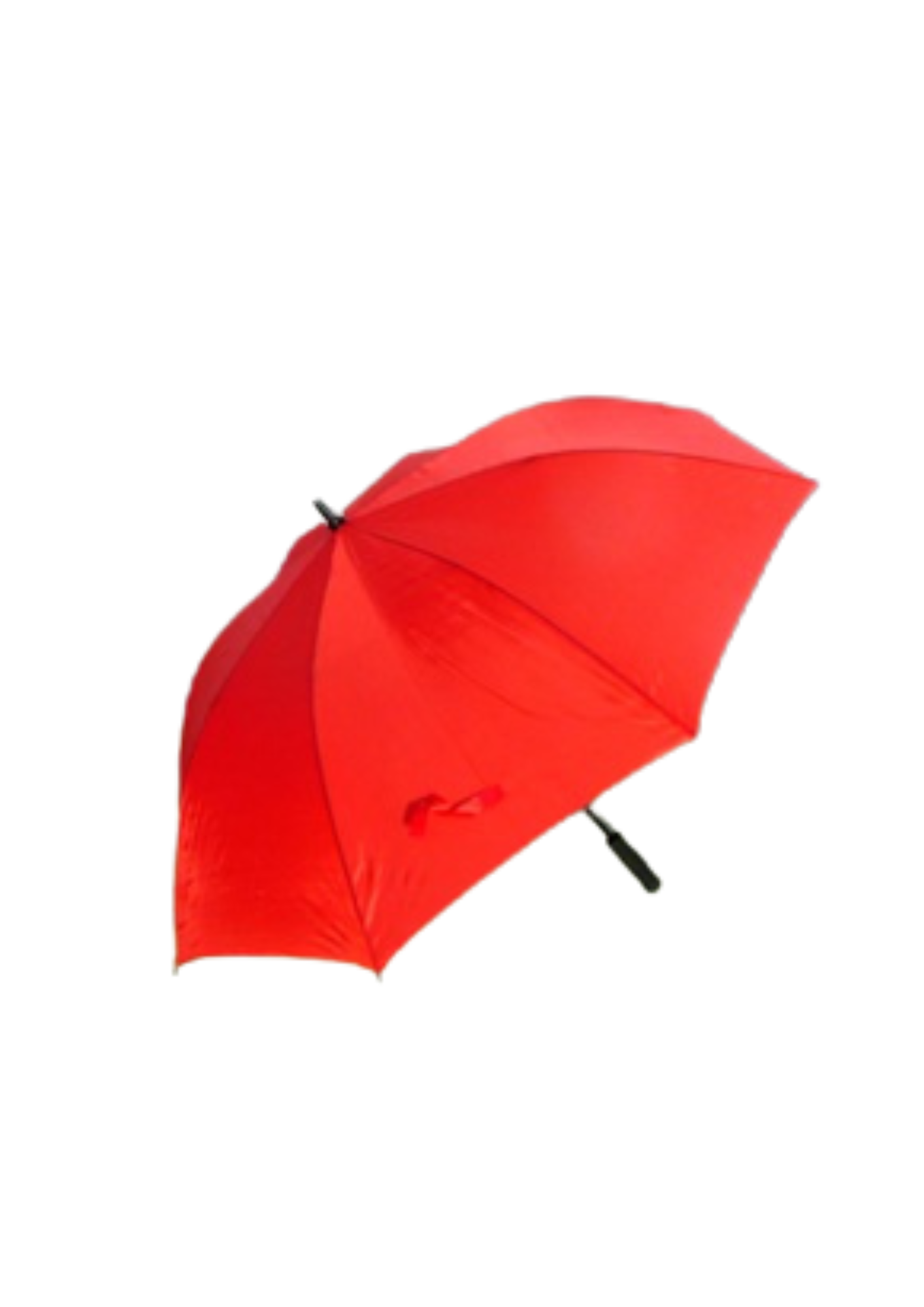 DGS Branded Umbrellas